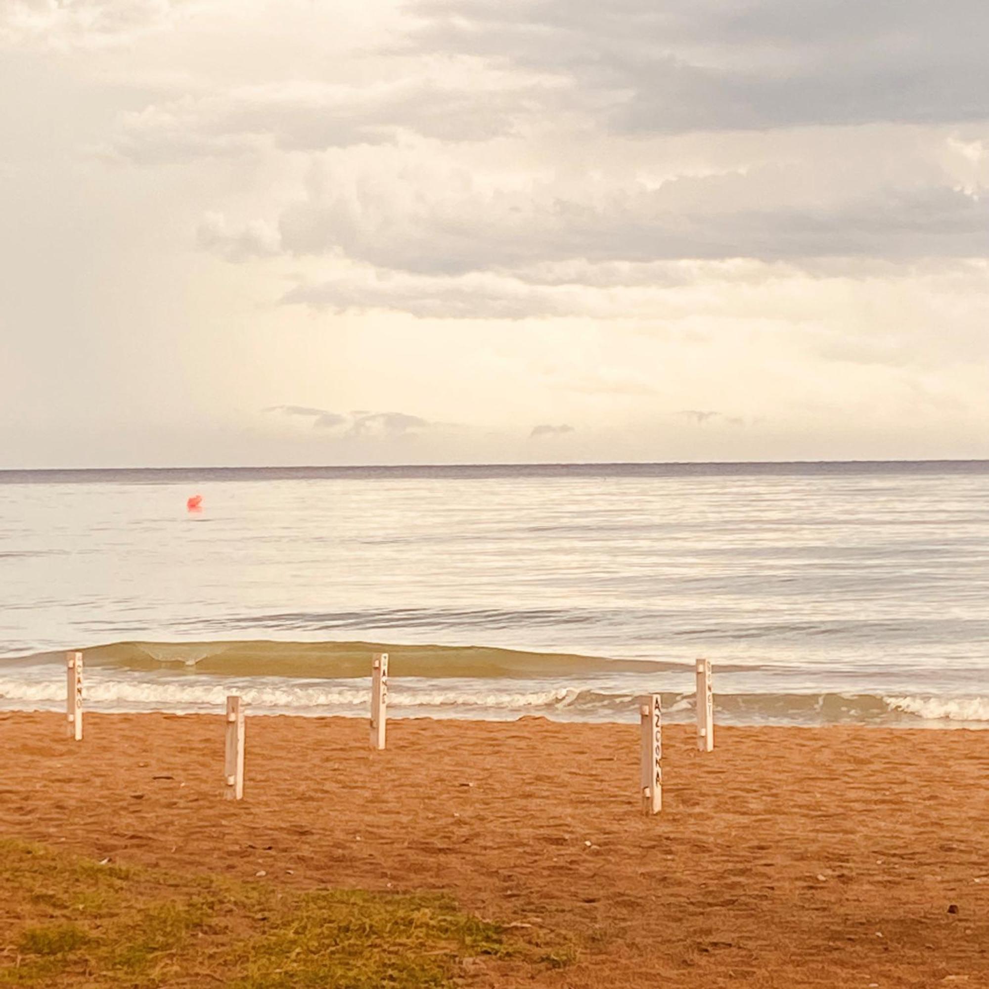 Acogedor Y Amplio Apartamento Familiar A Pie De Playa Калафел Екстериор снимка